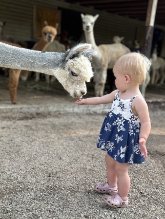 Pure Passions Farm, Streetsboro, Ohio